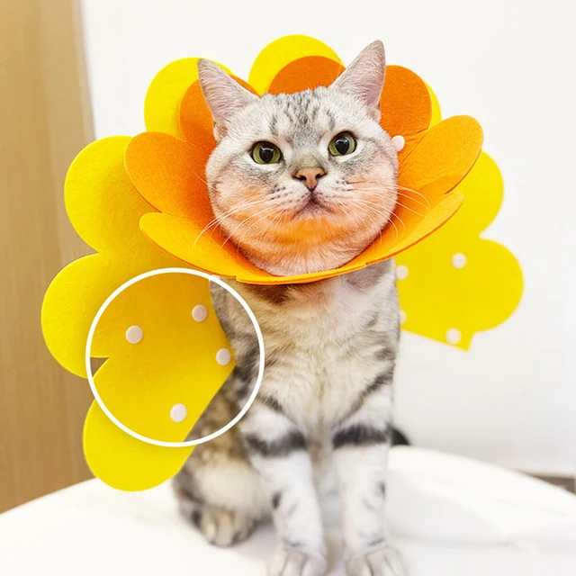 Collare Protettivo Per Gatti E Cani Piccoli - Cono Post-Operatorio Morbido E Traspirante - Foto 13