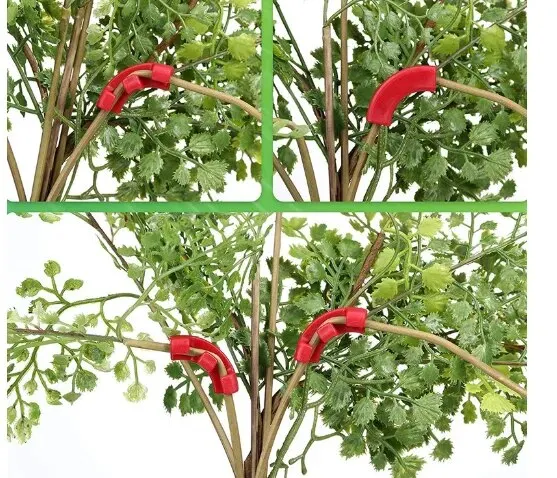 Clips De Plante Réglable Plante Clips De Fixation Support Attache Plante Clips Plastique Clip De Plante De Support De Jardin Pour Jardin Vigne Legumes Tomates20 Grands Clips Et 20petits Clips 72117339