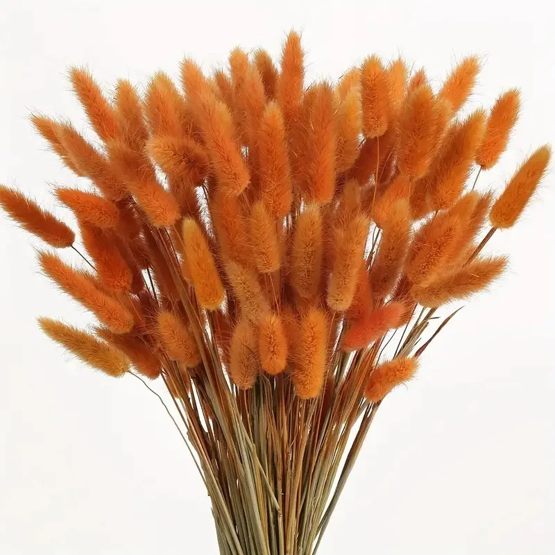 

60pcs Natural Dried Pampas Grass Mix Bouquet Boho Home Decor Bouquet Phragmites Dried Flowers Bunny Tails Dried Flowers Bouquet