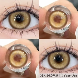 EYESHARE MADRID Series Purple Colored Contact Lenses for Halloween & Anime Beauty Accessories (MADRID - BROWN)
