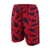 Beach Shorts Men Summer loose Board Short Quick Drying Panties With Pocket Keep Cool 5