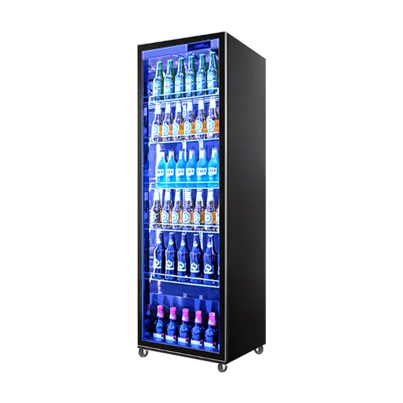 Commercial Display Freezer 2 Door Beverage Cooler Freezer Refrigerator Display Cooler 2