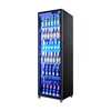 Commercial Display Freezer 2 Door Beverage Cooler Freezer Refrigerator Display Cooler 2