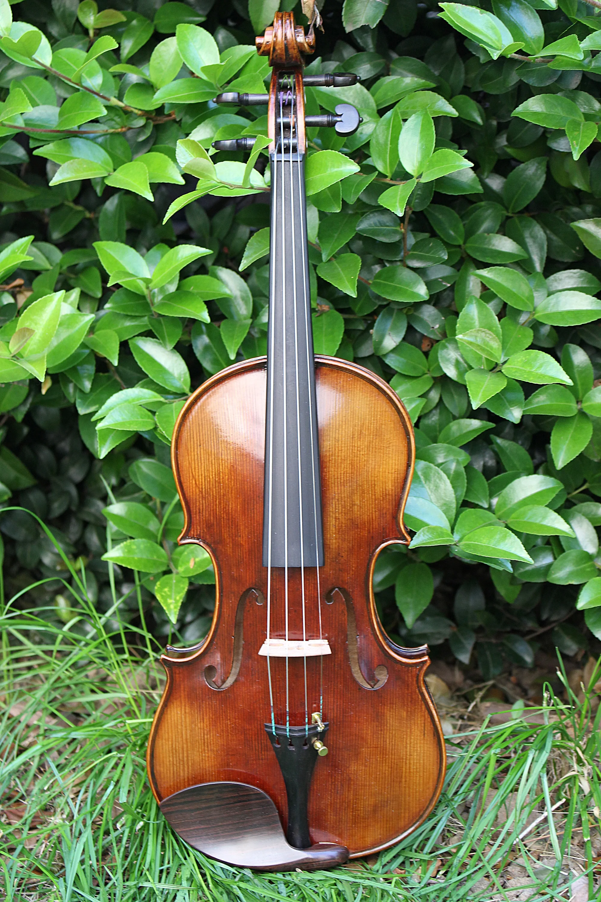 TONGLING Professional Top Master Violin 4/4 Size Handmade Oil Varnish & 20 Years Old European Spruce Antique Violin