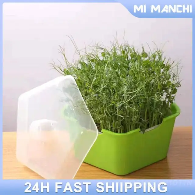 화분 성장 상자 식물 재배용 그릇으로 효율적인 콩나물 성장을 위해! 온라인 구매
