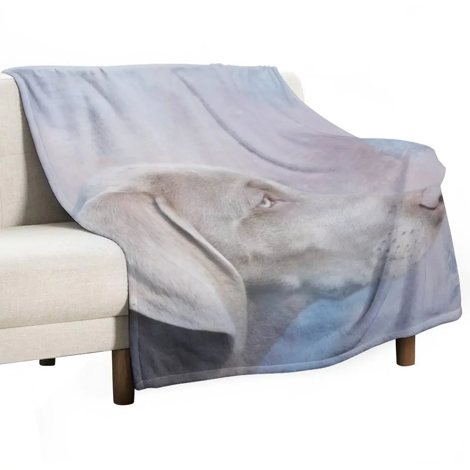 

Cute Weimaraner Dog Throw Blanket Extra Large Throw Beach Cute Plaid Blankets