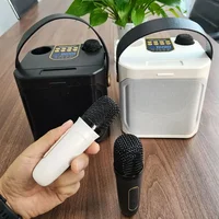 High Power Karaoke Bluetooth Speaker with Dual Microphone Boombox Portable 360 Stereo Surround Waterproof Wireless Subwoofer - Image 2