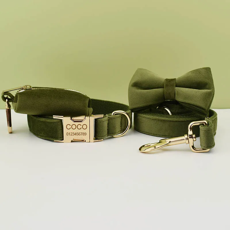 Engraved Pet Name And Phone Number Retail Dog Collars for The Boston