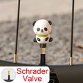 SV5