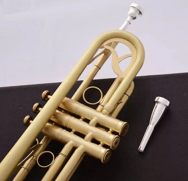 Professional Bb Trumpet Gold Professional Performance Black Protective Case