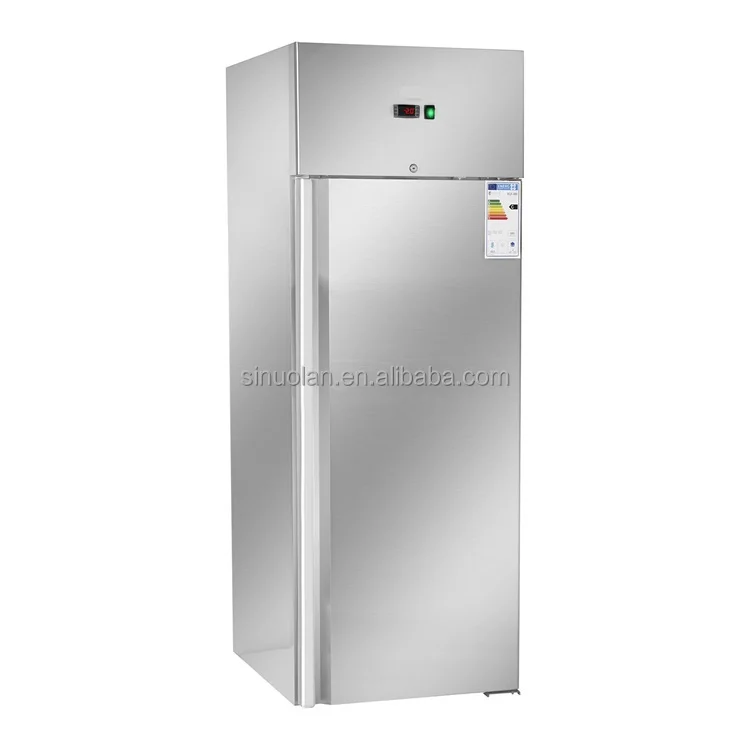 

Single Door Refrigerated Frezzer Commercial Refrigerator For Fruits And Vegetables Commercial Vertical Fridge Refrigerator