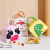 Cartoon Lunch Bag Portable Insulated Thermal Lunch Box Picnic Supplies Bags Milk Bottle For Women Girl Kids Children 2022 New 4