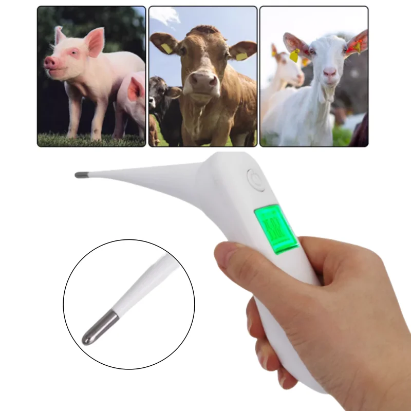 Animal Thermometer Sheep Pig Cow Large Screen High Precision Thermometer Soft Head Gun Cattle