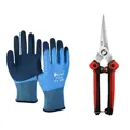 Pruning set A