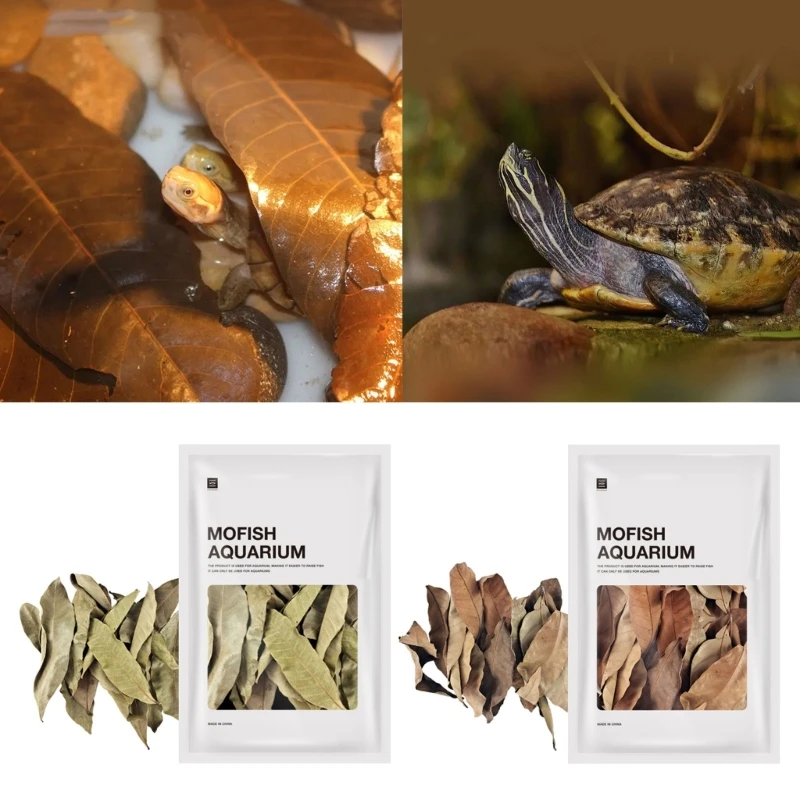 

Состояние воды-листья Tortois, делает резервуары более естественными, создающими естественную среду