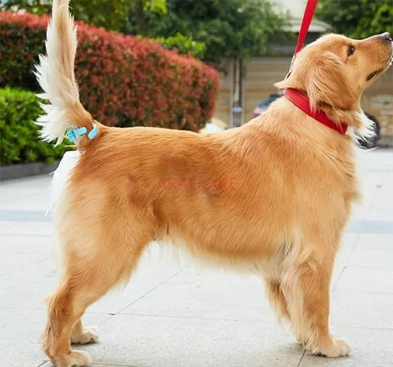 Dog walking and defecating tool, pet toilet holder, tail clip, toilet bag, dog holder, dog fecal cleaner