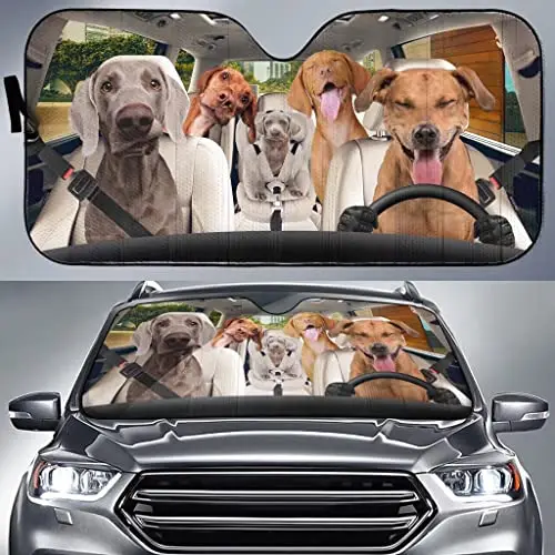 

Vizsla Canine car Visor, car Trim, Windshield Visor, car Curtain Visor, Windshield Heat Shield