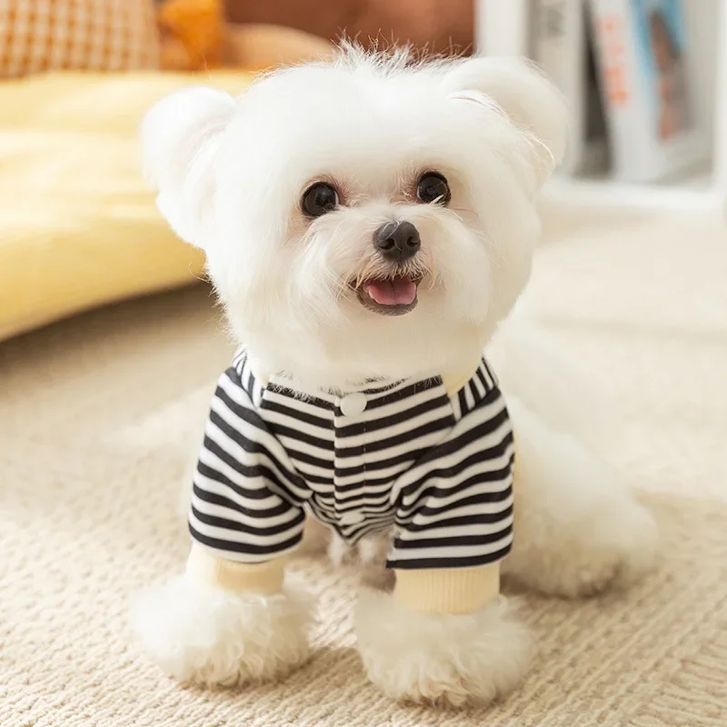 Pet clothes autumn and winter cute little penguin striped cartoon suspender two leg hoodie cat plush puppy