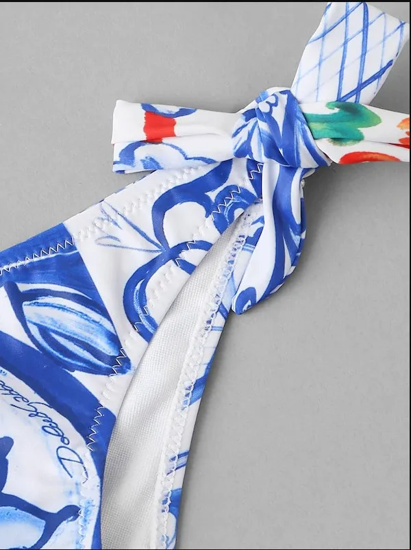 2024 New Printed Ethnic Style Bra Bikini European and American Swimwear BIKINI Women Swimwear Vacation Sexy / New Fashion Biue