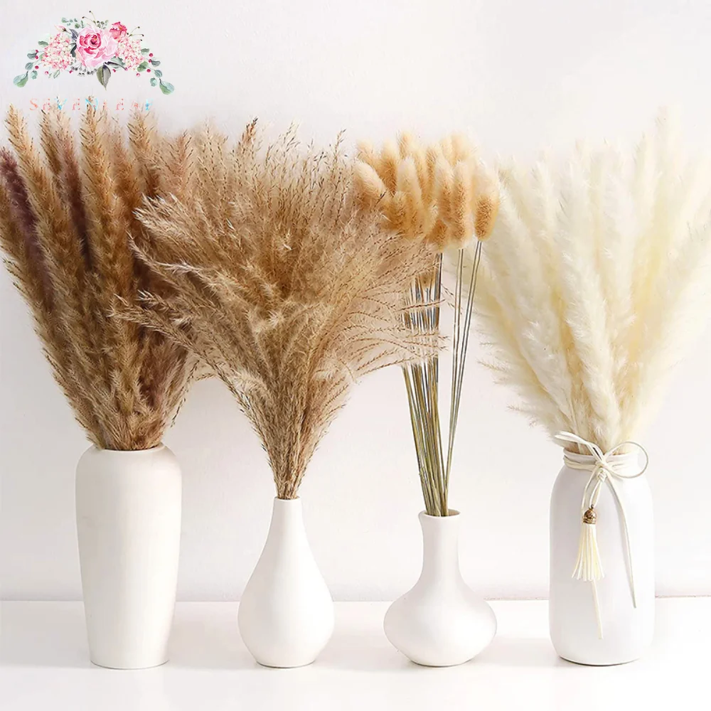 

Natural Pampas Grass Dried Flowers Bouquet Room Phragmites Decoration Bunny Tail Grass Boho Home Accessories Wedding Supplies