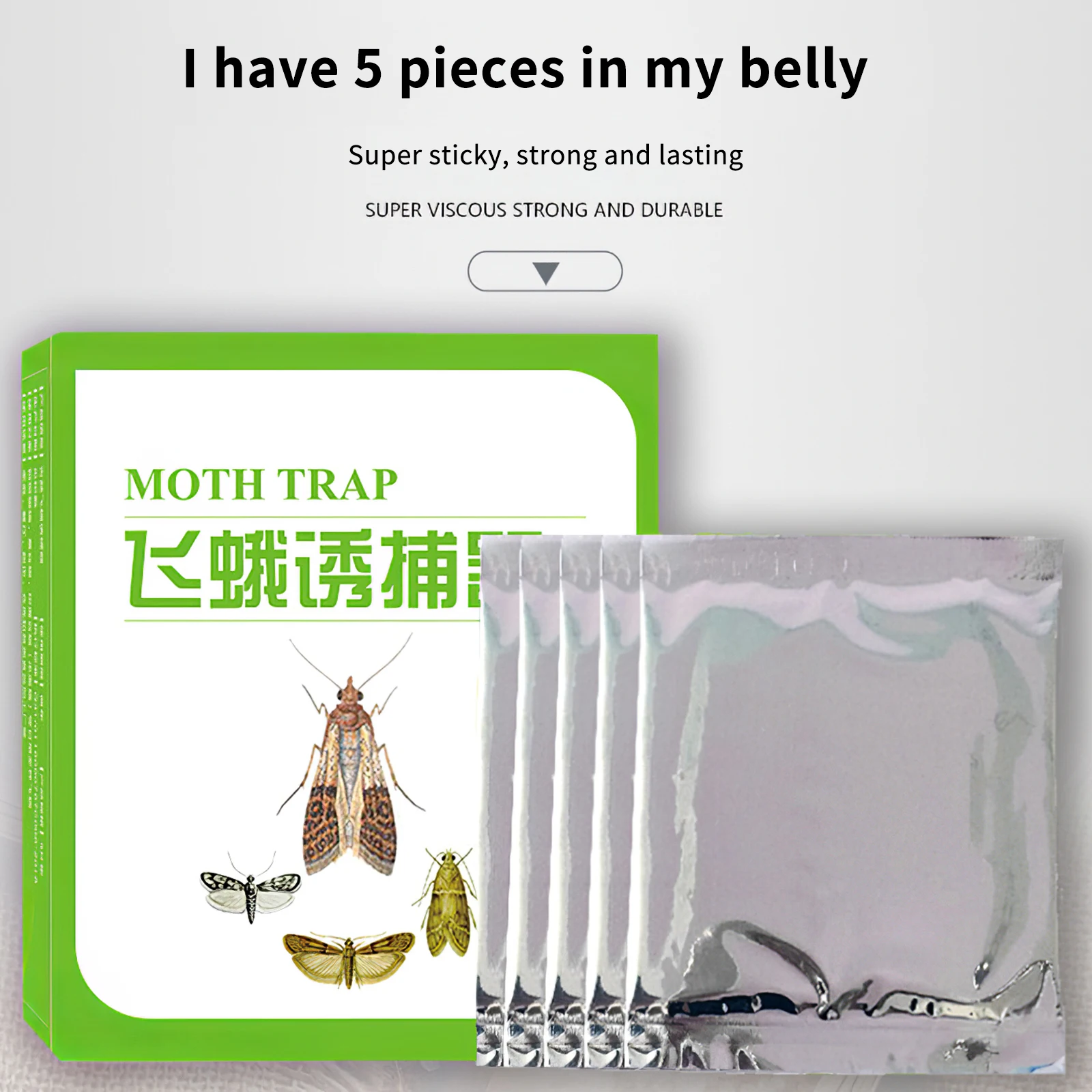 5 Pz Dispensa Cibo Moth Trappola Feromone Killer Pasta Colla Appiccicosa Trappola Parassita Rifiuta Insetti Mosche Famiglia Fabbrica Ristorante Uso