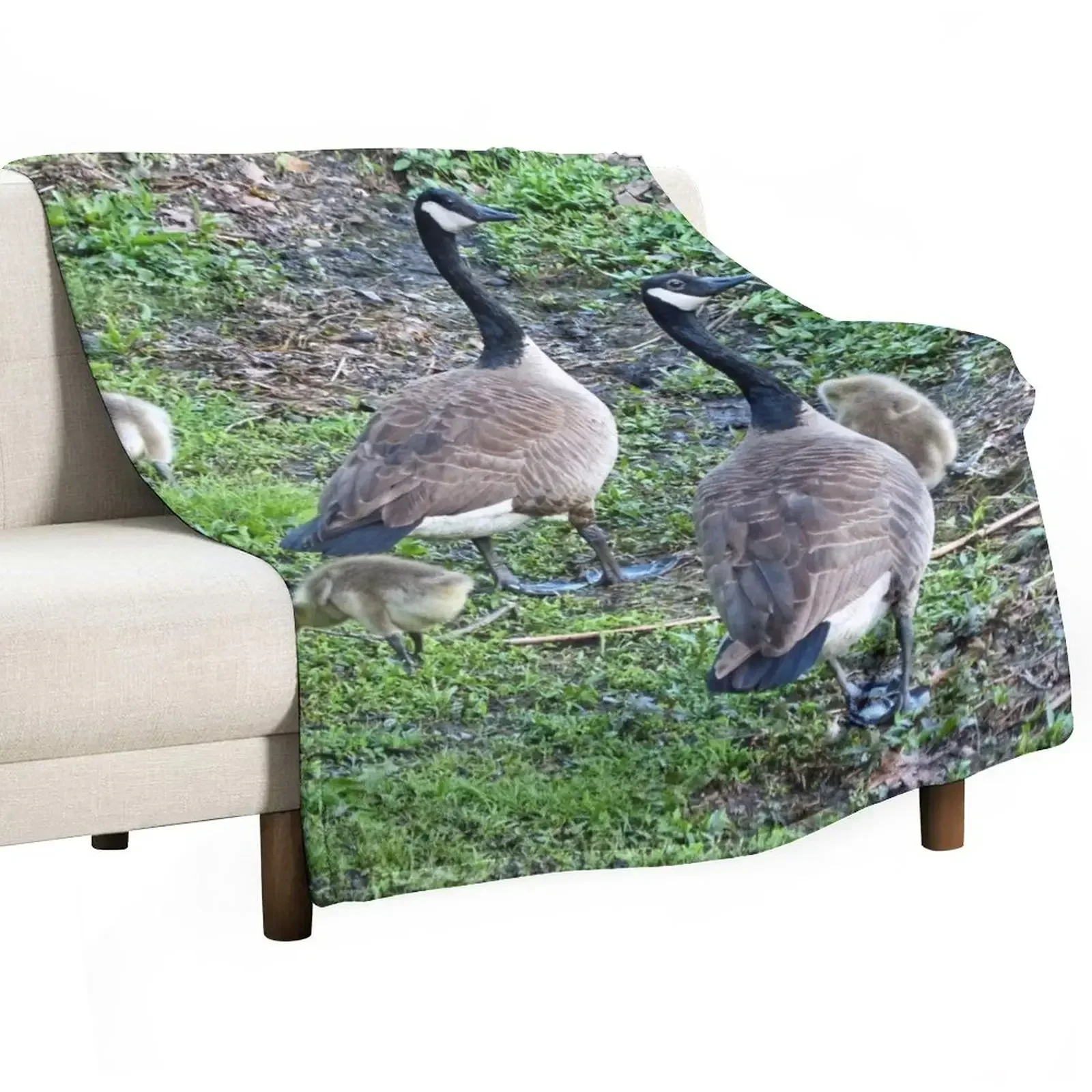 

Family of Geese Throw Blanket For Sofa Thin Warm Fashion Sofas Sofas Blankets