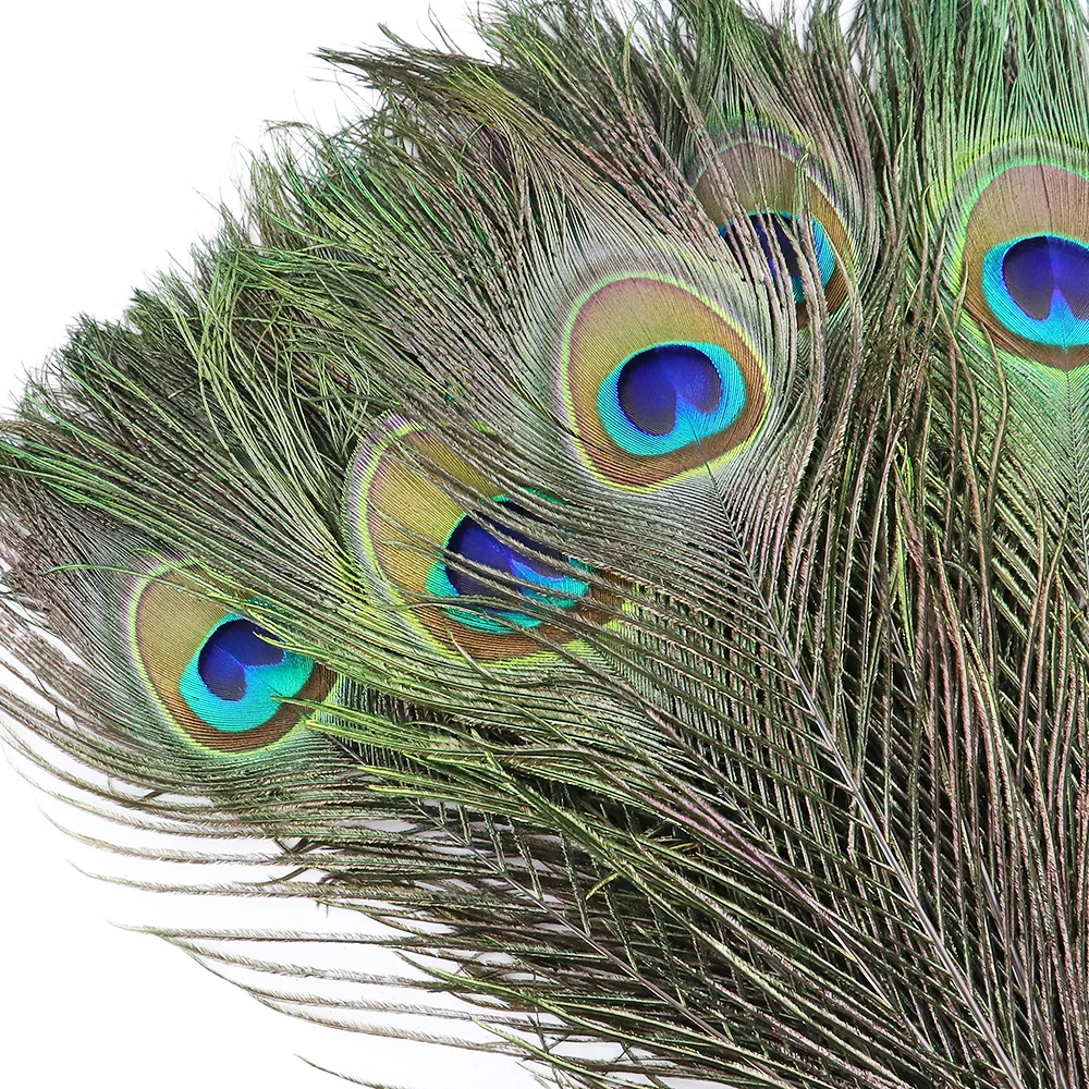 10Pcs 25-30CM Natural Peacock Feathers Crafts Handwork DIY Party Plume  Wedding Home Furnishing Decor