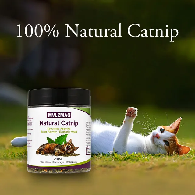 Cat Toys - Silvervine Catnip for Cats, 100% Natural Catnip Catnip Herbal Tea Loose Leaf, 210ML, Safe for All Cat Ages Pet Supply 3