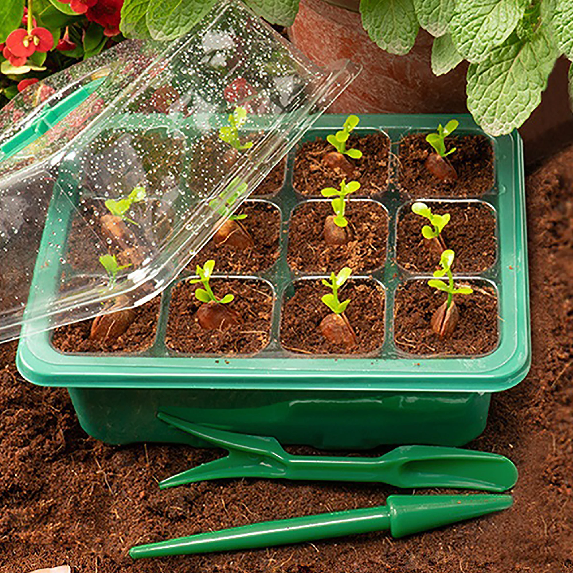 Plateau De Germination En Plastique - Set De Pots Pour Semis, Micro-pousses - Jardinage Intérieur, Balcon, Culture Maison - 6