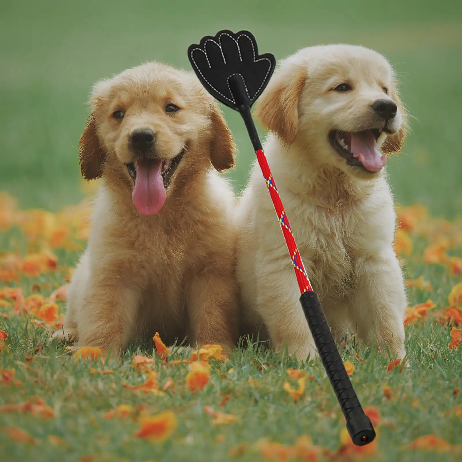 Durable Pet Training Stick Pet Entertainment Toy Cat Trainer Rubber Paw Shape Dog Training Pat Whip for Puppy Cat Equipment Tool