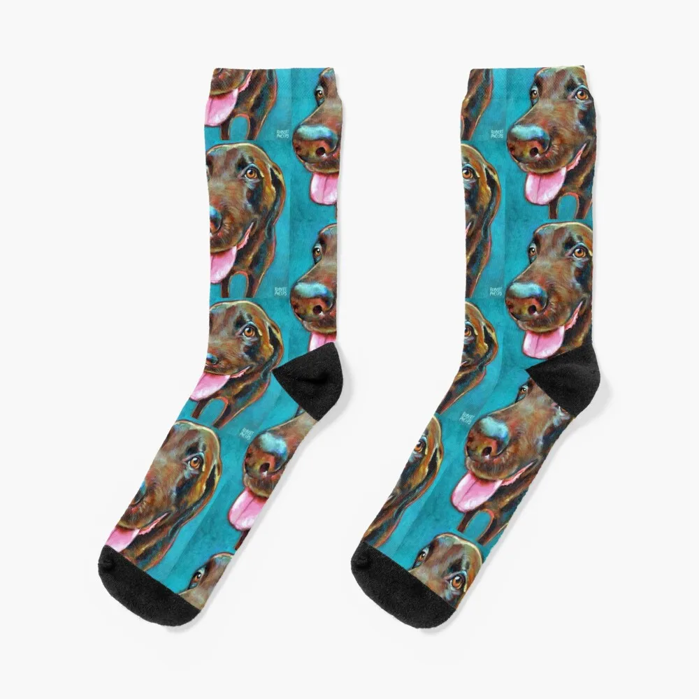 Chocolate Labrador on Blue by Robert Phelps Socks Man socks valentine gift ideas