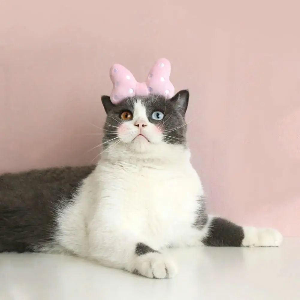 Pet Headgear Decorative Smooth Edge One Size