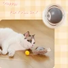 Interactive Cat Toys Ball Cover Set Fast Rolling in Pouch Hide and Seek Kitten Toy Motion Activated Interactive Cat Toy Indoor 6
