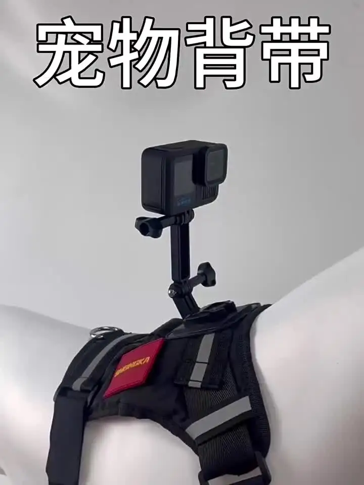 Держатель камеры для домашних животных DJI Action 5Pro/4/3 Insta360 Acepro 2/GoPro13
