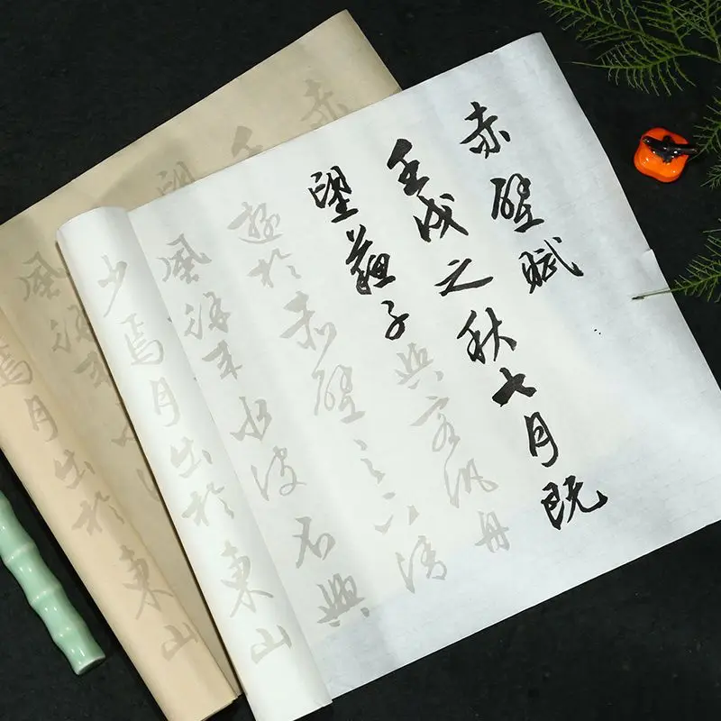 Chinesische Wen Zhengming Pinsel Stift Kalligraphie Copybook Rolling Reis Papier Copybook Erwachsene Running Script Kalligraphie Copybooks – Detail 2