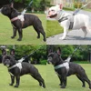 Pet Dog Harness for Small Medium Big Dogs Cats Hiking Puppy Adjustable Reflective Chest Strap French Bulldog Pug Teddy Supplies 6