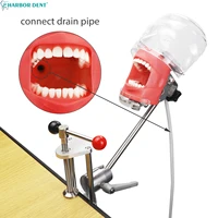Modèle de tête Simple simulateur dentaire mannequin fantôme avec dents pour dentiste enseignement pratique formation étude équipement de dentisterie 2