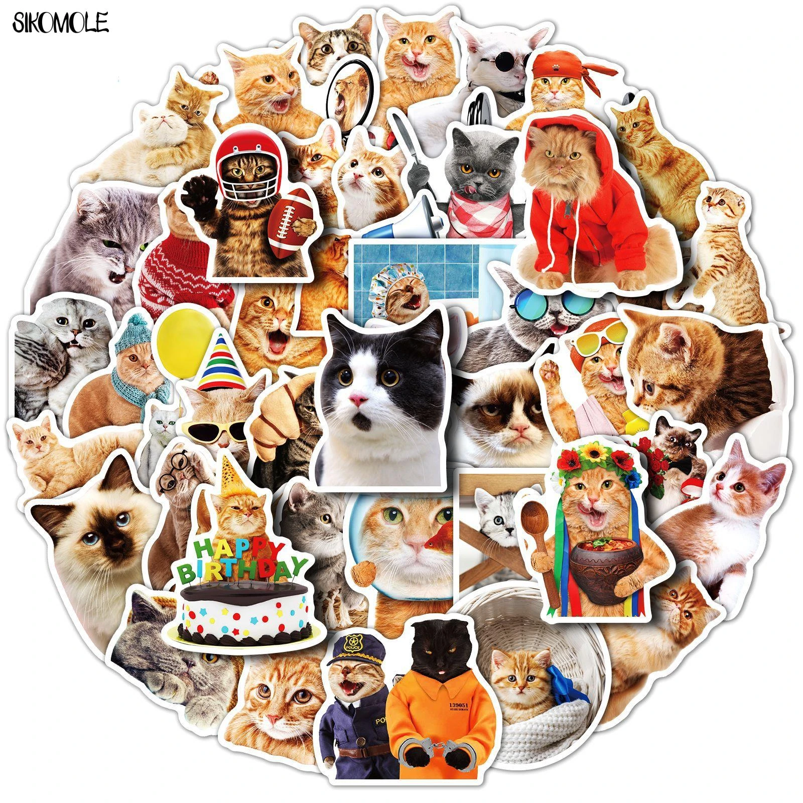 rooster Rechtsaf eindeloos 10/30/50Pcs Funny Kawaii Echte Kat Stickers Schattige Dieren Diy Speelgoed  Slaapkamer Pet Shop Auto Gitaar koffer Graffiti Decals Sticker F5| | -  AliExpress