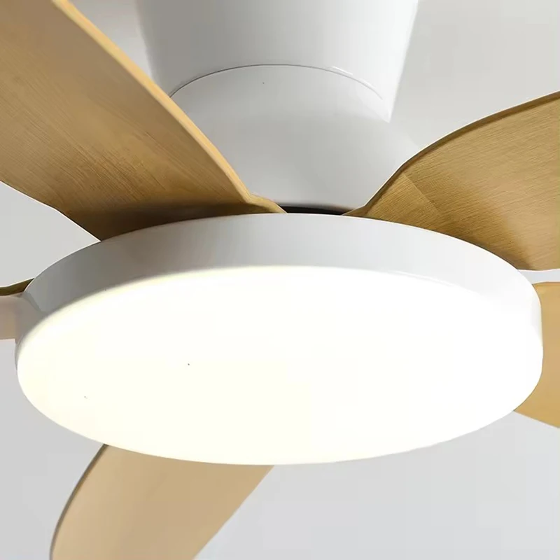 5 ABS Blade Pure Copper DC Motor Ceiling Fan with Light 42 Inch Fan Support Remote Control Ceiling Light with 220V 110V
