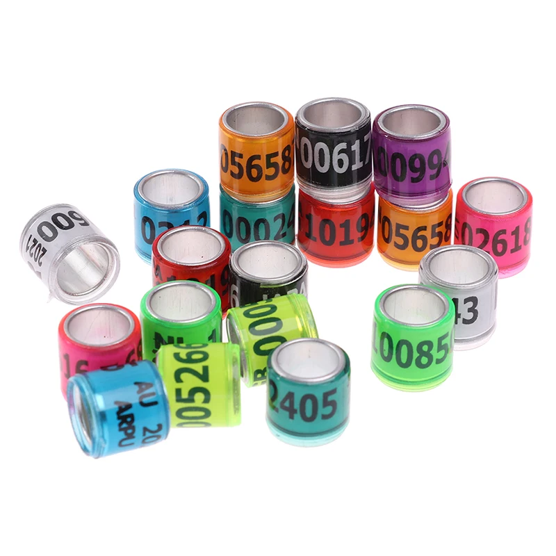 20 pcs Pigeon Foot Ring With Word Earrings Multicolor Bird Tools