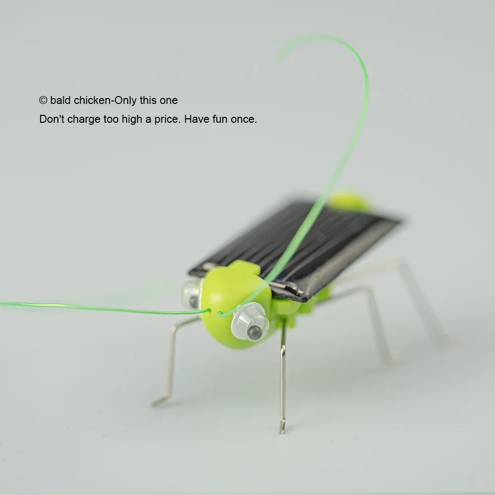 Solar Simulation Insect Grasshopper Toy 4
