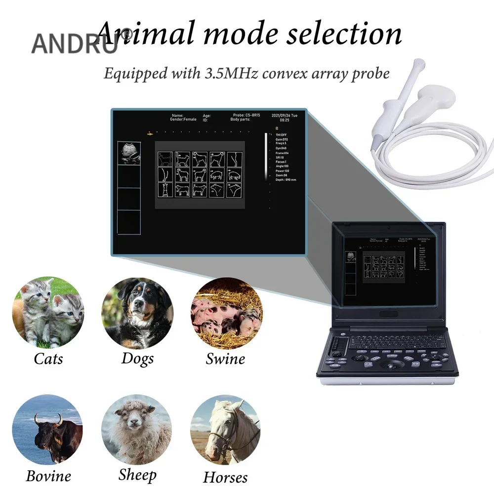 Veterinary B-Ultrasound Machine, Portable Laptop Scanner with 3.5 MHz Micro Convex Probe for Cat Dog,Goat,Cow and Pig Pregnancy