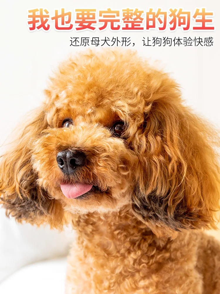 Poodle Mating lupon.gov.ph