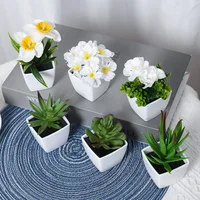 6PCS, artificial plants small bonsai, DIY crafts desktop windowsill display rack display decoration 2