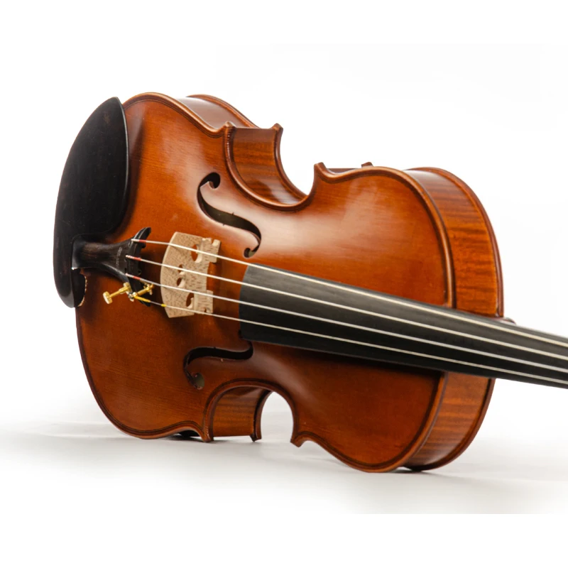 

Advanced Violin CHRISTINA S100D Handmade One-piece Fine Flame Maple Premium European Spruce New Gradient Glossy with Case Bow