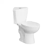 Elongated Corner Toilet 17.2" Height Compact Dual Flush Siphon Flushing White Porcelain 1