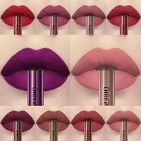 Matte Liquid Lipstick Waterproof Long Lasting Velvet Mate Nude Red Lip Gloss Lint Tube Makeup Cosmetic Lipsticks Lipgloss 1