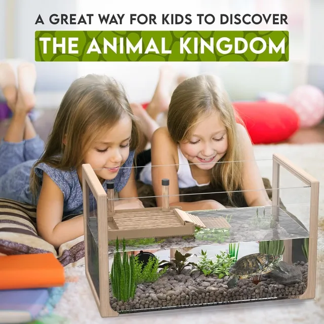 New 2024 - Aquatic Turtle Tank with Filter and Light + Turtle Basking Platform, Small Turtle Tank for Baby 5
