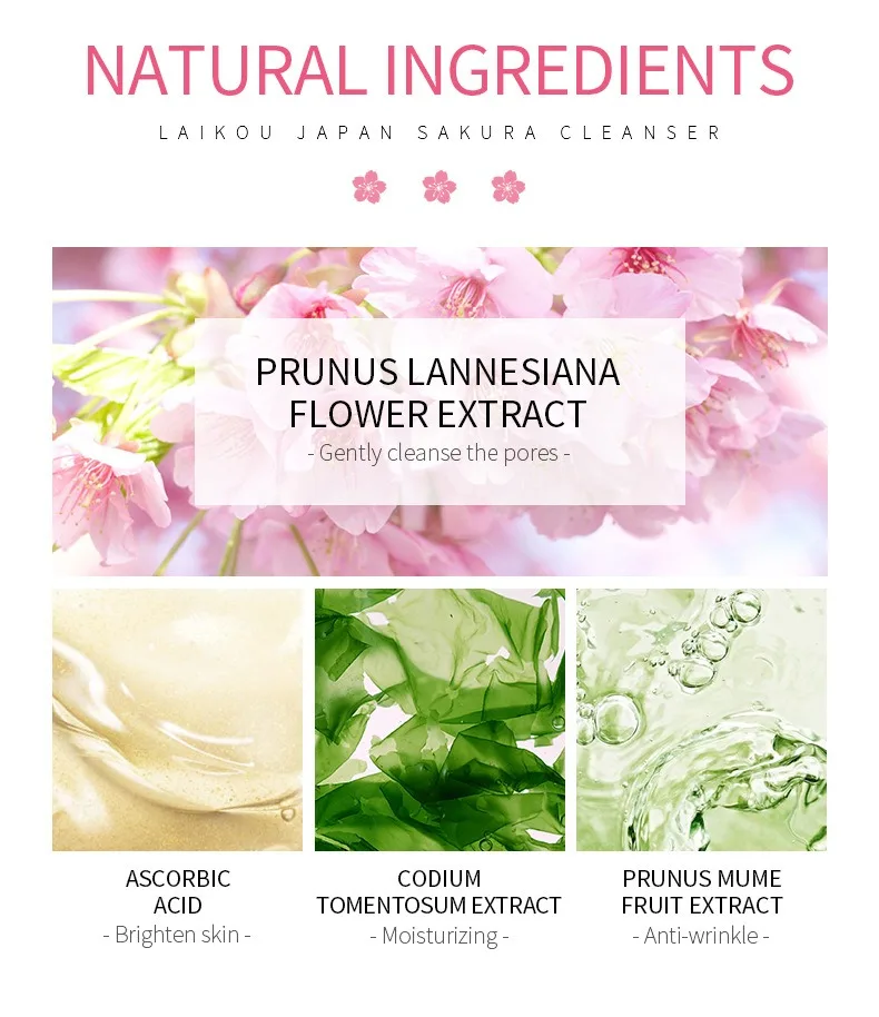 Sakura Cleanser Rich Foam Deep Clean Remove Grease Improve