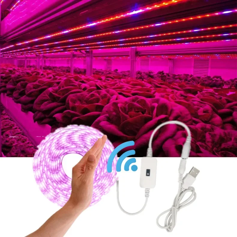 

USB Phytolamps for Plants 5V LED Grow Light Strip 2835 Chip 1m 2m 3m LED Phyto Tape for Hydroponic Greenhouse Seedlings Growth